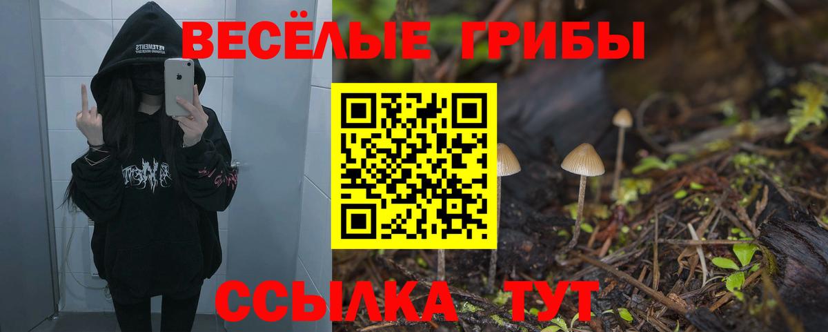 Морозовск  где продают   Вход с VPN  Галлюциногенные грибы Magic Shrooms 